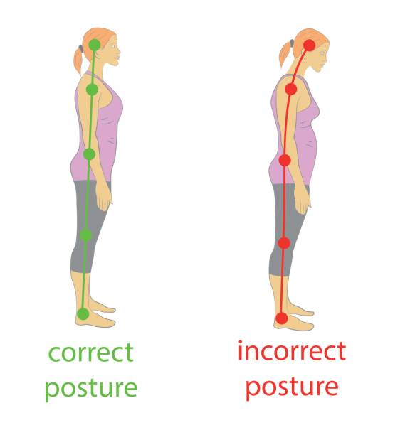 Correct alignment of human body in standing posture for good personality and healthy of spine and bone. Health care and medical illustration